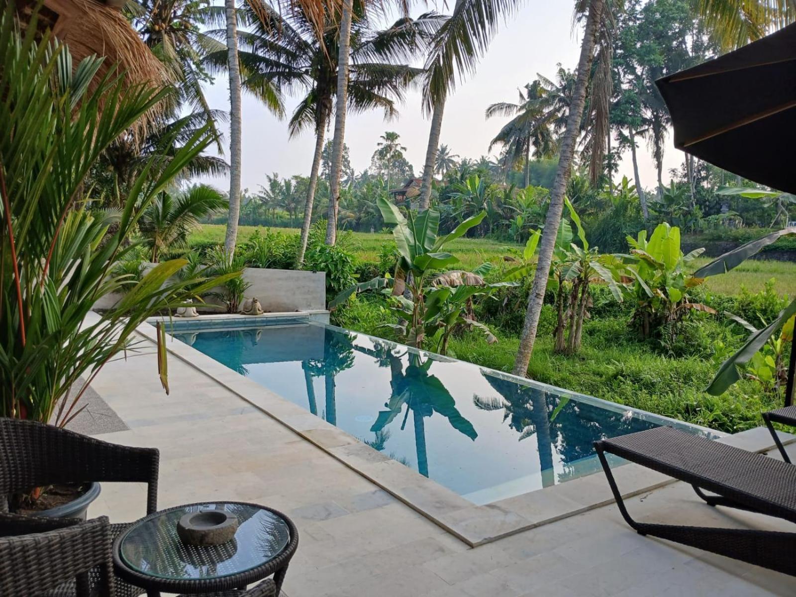 Bali View Ubud Hotel المظهر الخارجي الصورة
