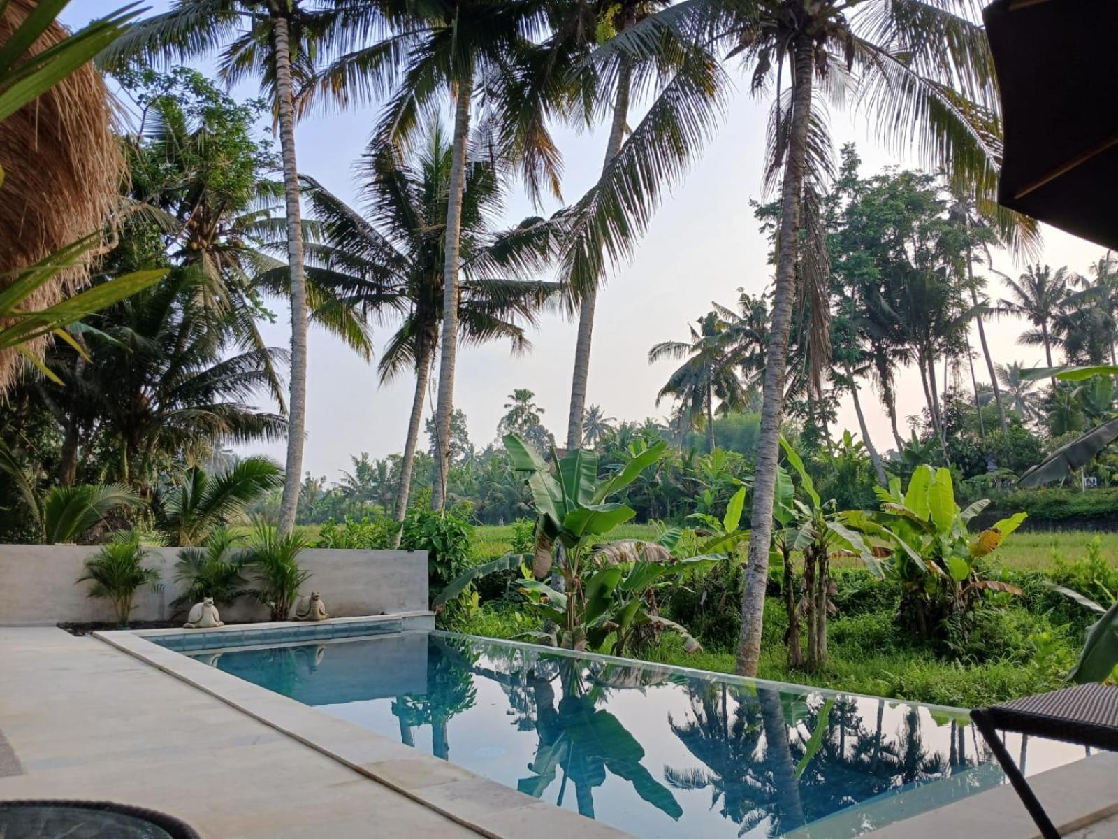 Bali View Ubud Hotel المظهر الخارجي الصورة