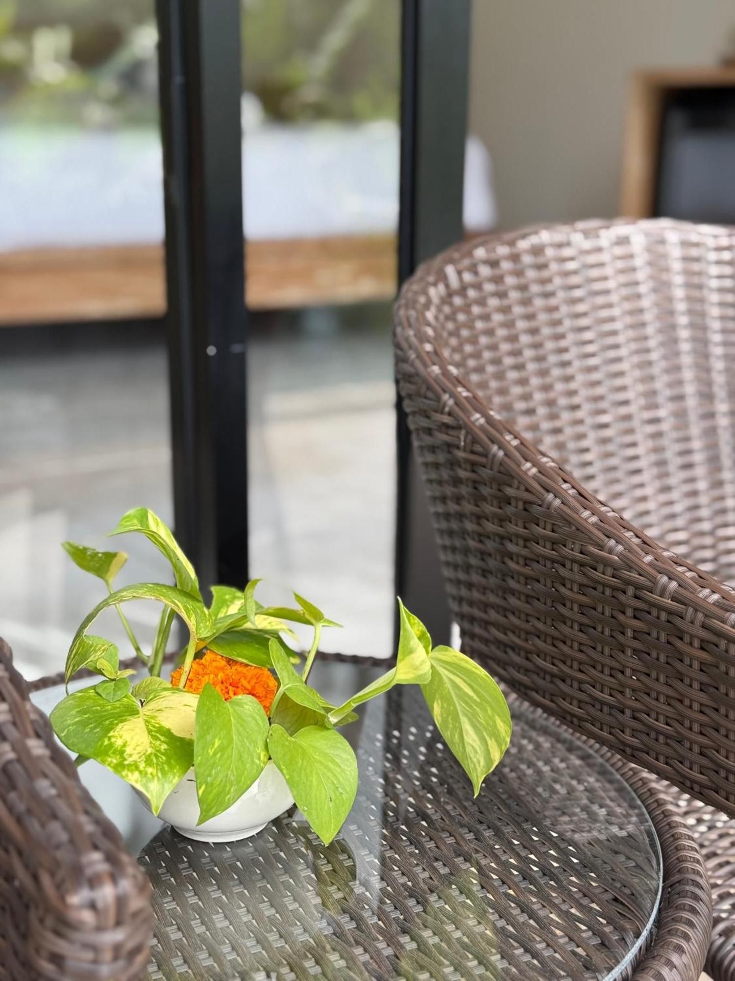 Bali View Ubud Hotel المظهر الخارجي الصورة